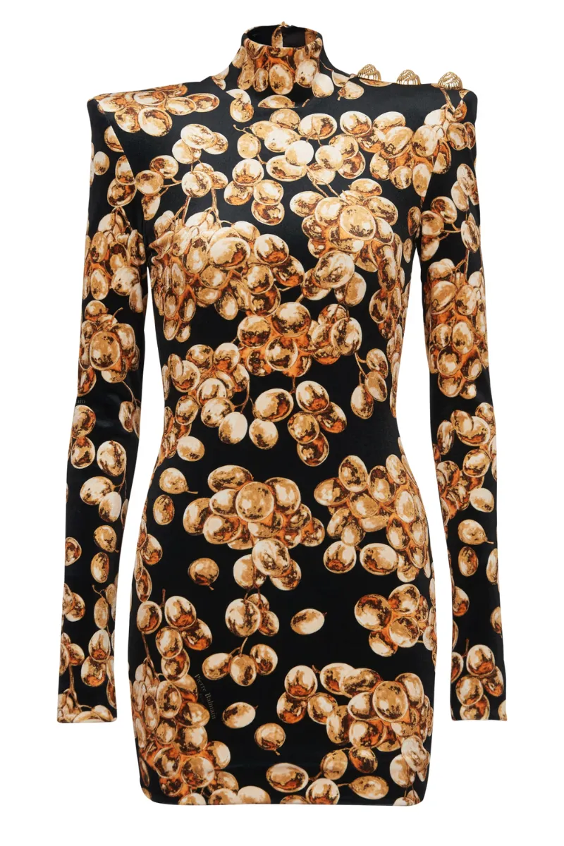 Grape Print Velvet Dress