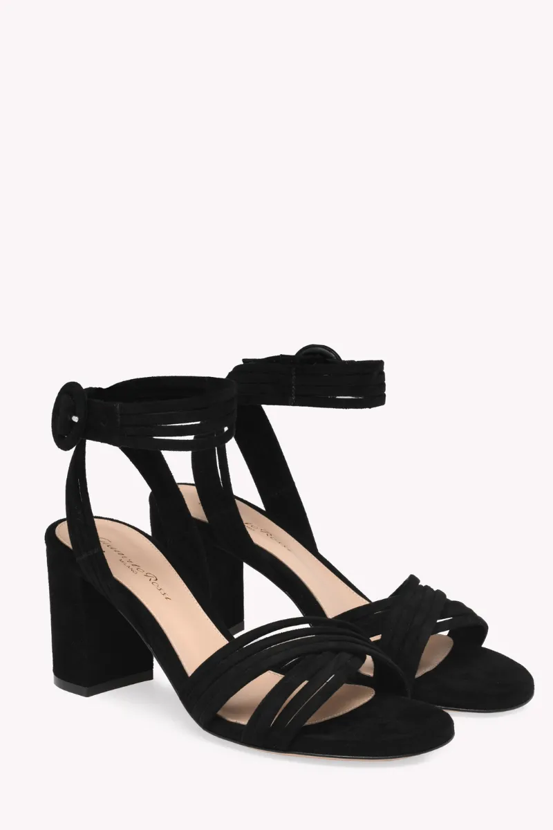 Lianne Sandal