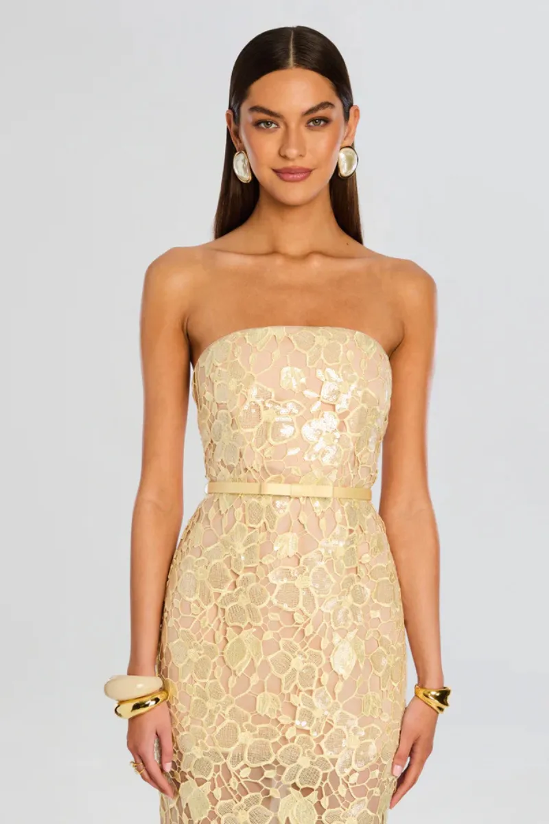 Rowena Lace Dress